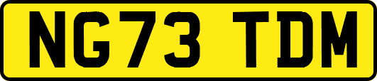 NG73TDM