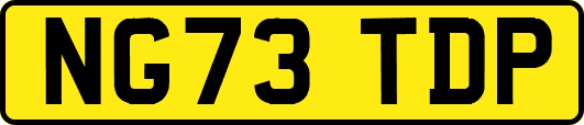 NG73TDP