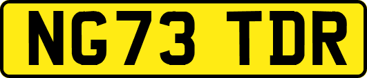 NG73TDR