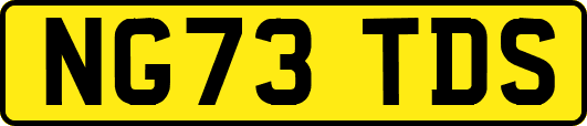 NG73TDS