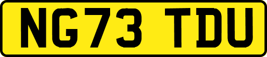 NG73TDU