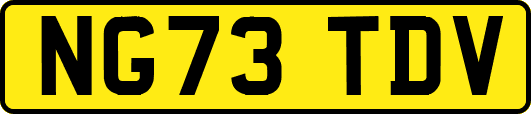 NG73TDV