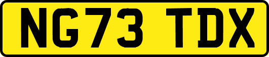 NG73TDX