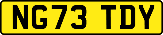 NG73TDY