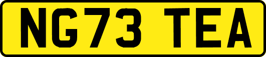 NG73TEA