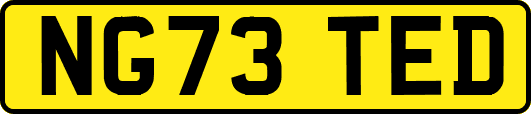NG73TED