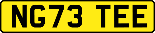 NG73TEE