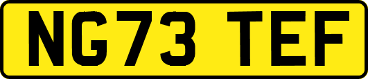 NG73TEF