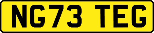 NG73TEG