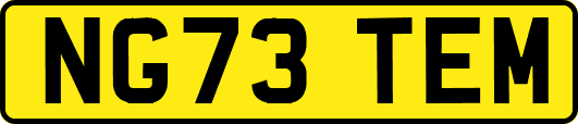 NG73TEM