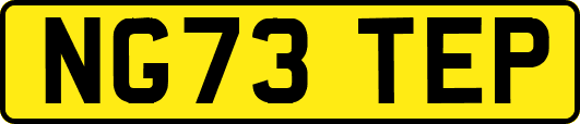 NG73TEP