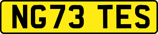 NG73TES