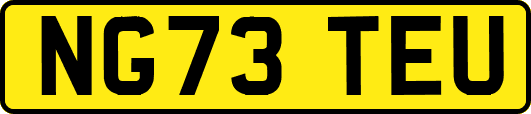 NG73TEU