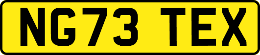 NG73TEX