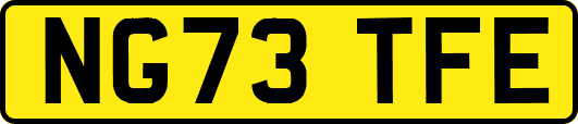 NG73TFE