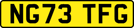 NG73TFG