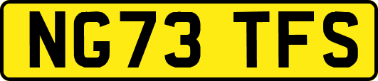 NG73TFS