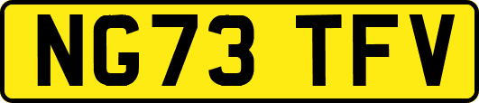 NG73TFV