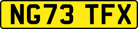 NG73TFX