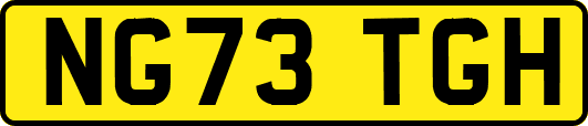 NG73TGH