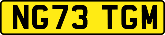 NG73TGM