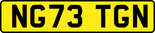 NG73TGN