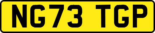 NG73TGP