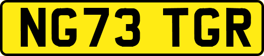 NG73TGR