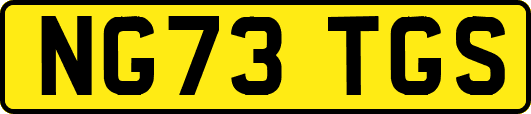 NG73TGS