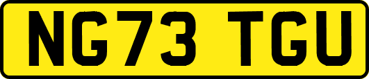 NG73TGU