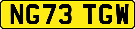 NG73TGW