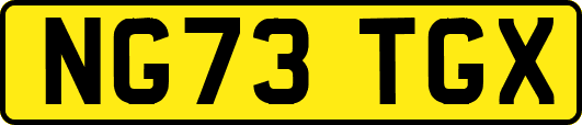 NG73TGX
