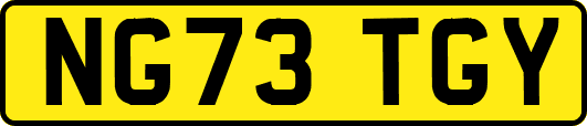 NG73TGY