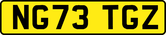 NG73TGZ