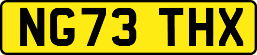 NG73THX
