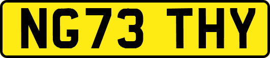 NG73THY