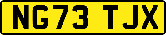 NG73TJX