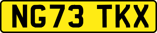 NG73TKX