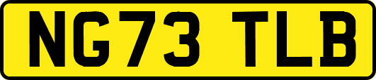 NG73TLB