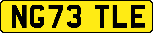 NG73TLE