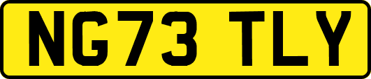 NG73TLY