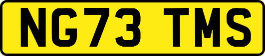 NG73TMS