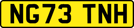 NG73TNH