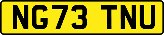 NG73TNU