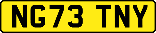 NG73TNY