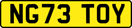 NG73TOY