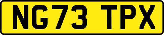 NG73TPX
