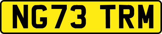 NG73TRM