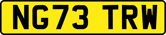 NG73TRW