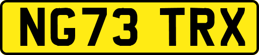 NG73TRX